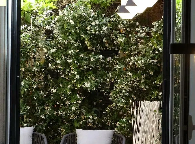 Guest house Domus Alberico